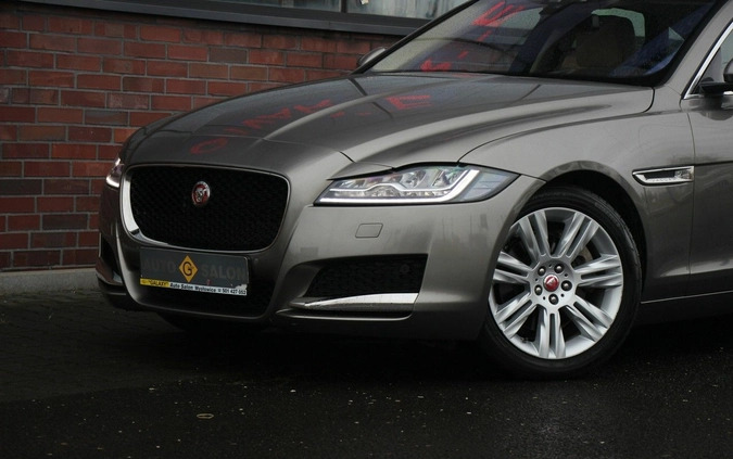 Jaguar XF cena 125990 przebieg: 23000, rok produkcji 2018 z Łasin małe 781